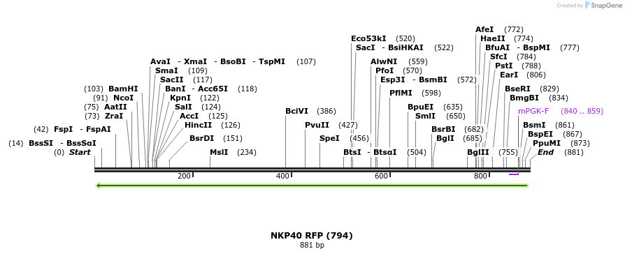 102665_map