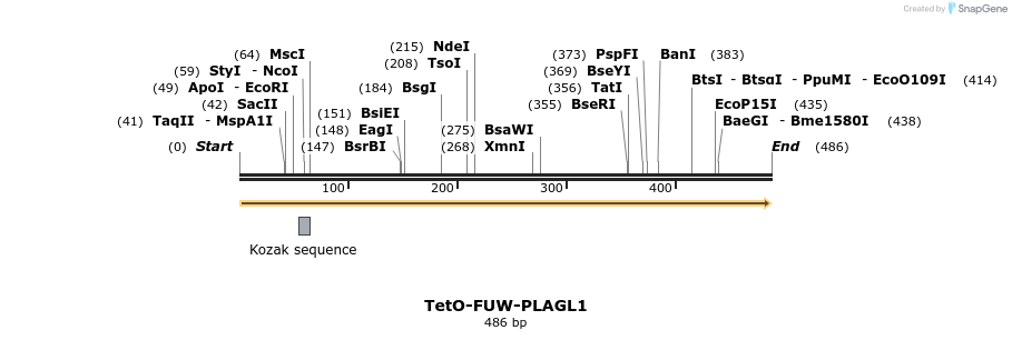 102670_map