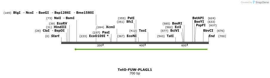 102671_map