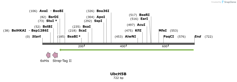 102674_map
