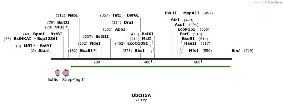 102675_map