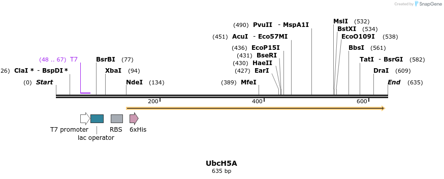 102676_map