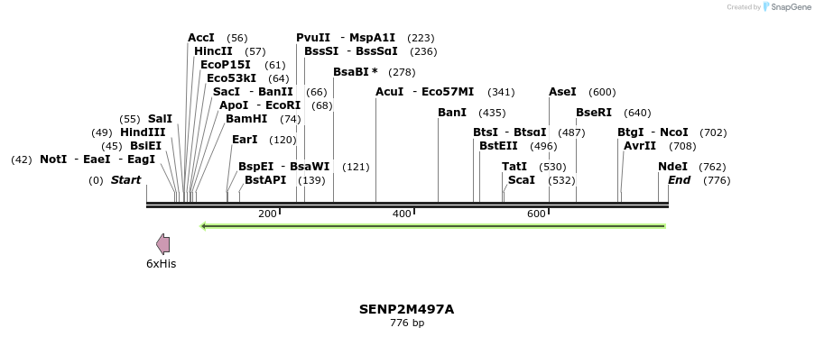 102679_map