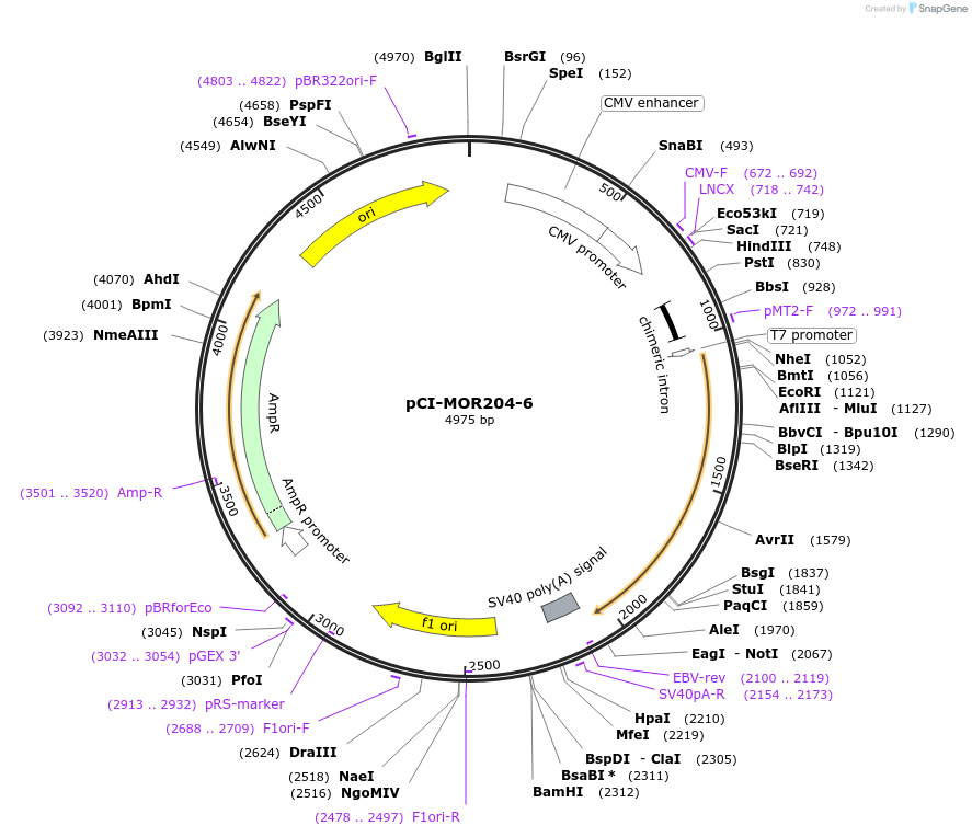 10269_map
