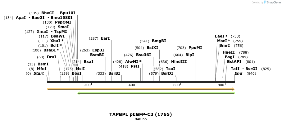 102707_map