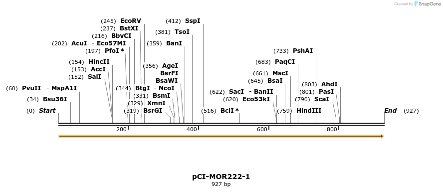 10272_map