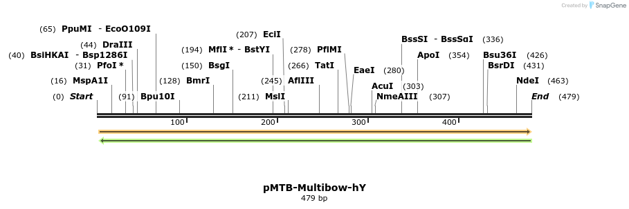 102728_map