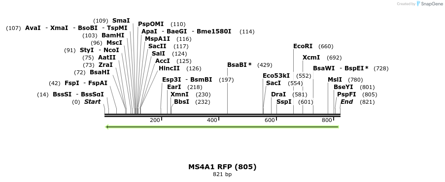 102731_map