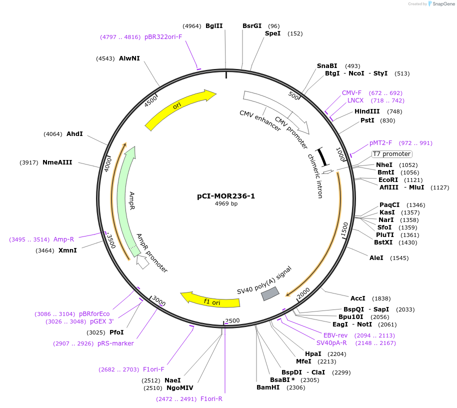 10274_map
