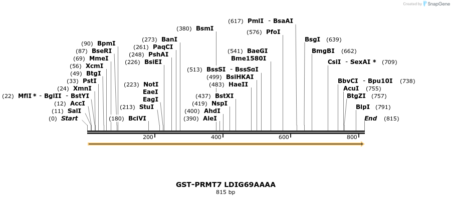 102742_map
