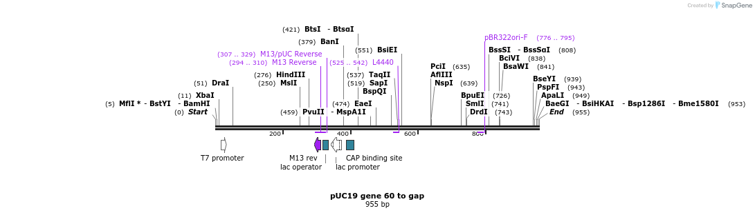 102750_map
