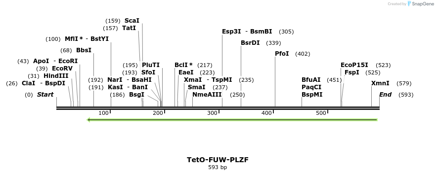 102752_map
