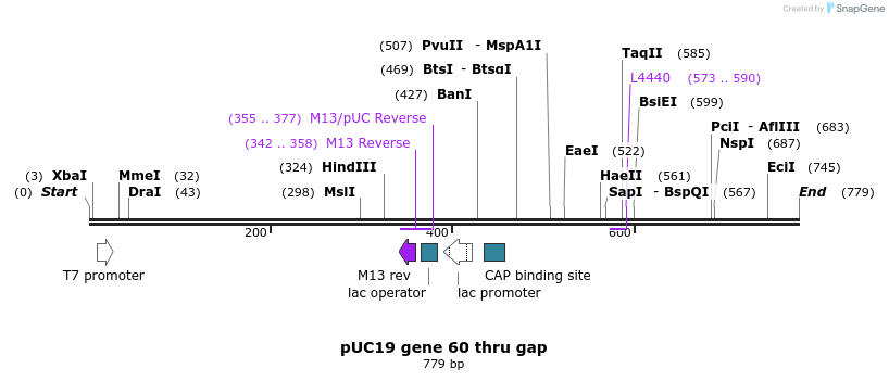 102753_map