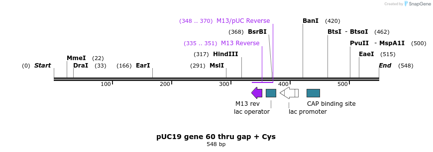 102754_map
