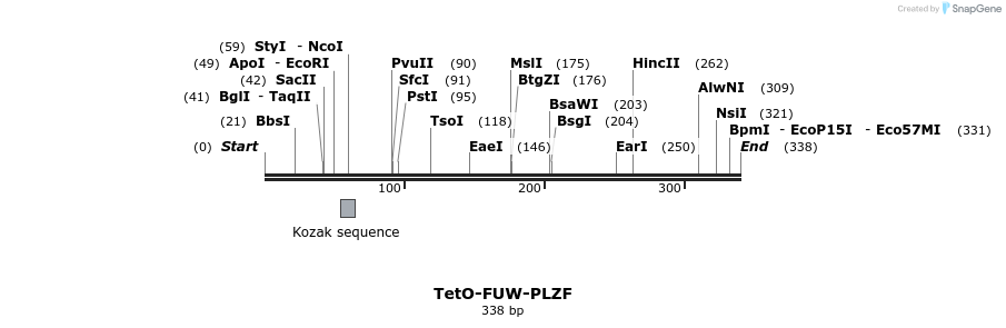102755_map