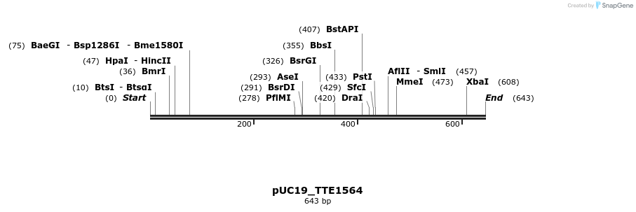 102757_map