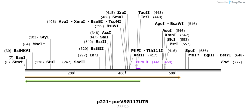 102764_map