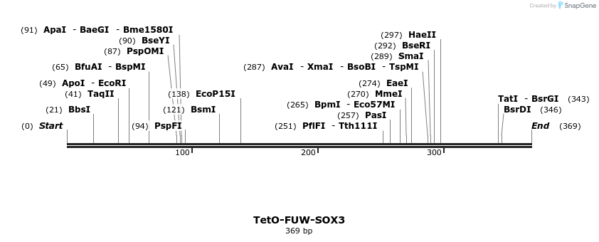 102775_map