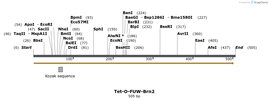 102779_map