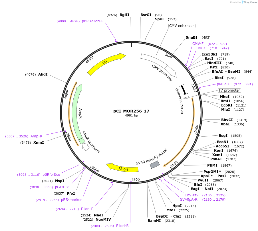 10278_map