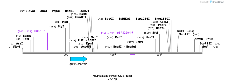 102788_map