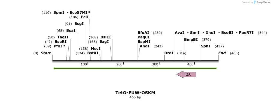 102790_map