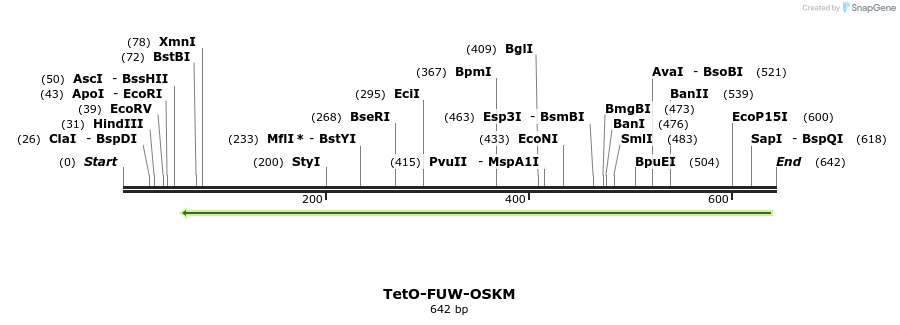 102792_map
