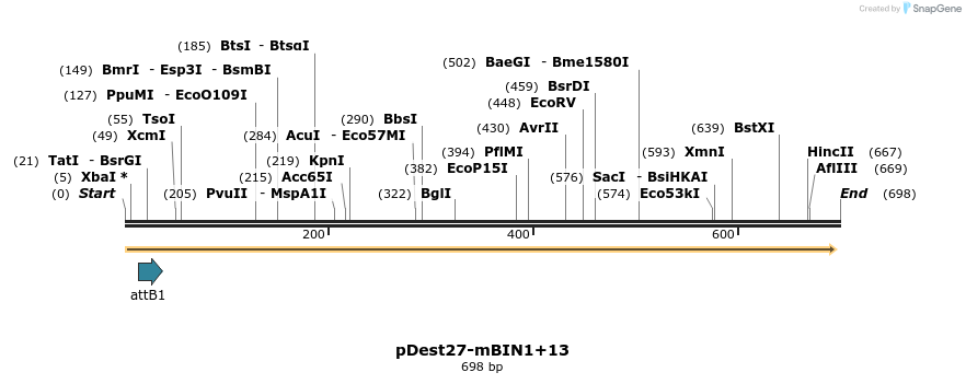 102802_map