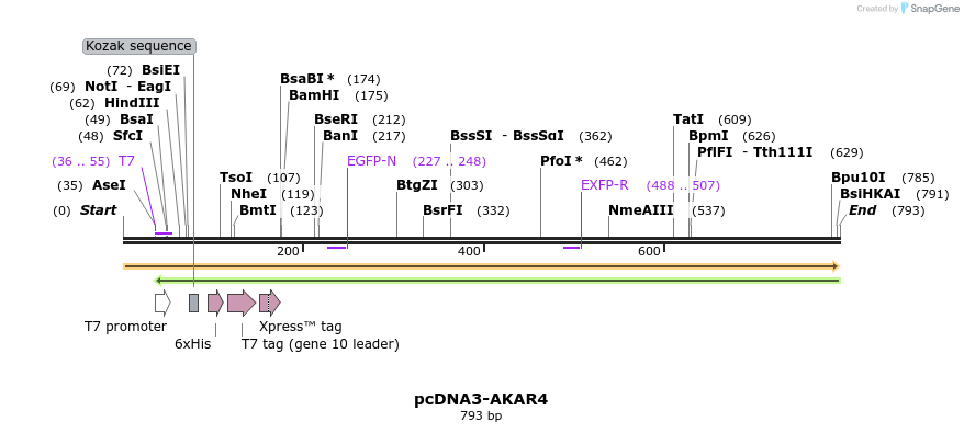 102804_map