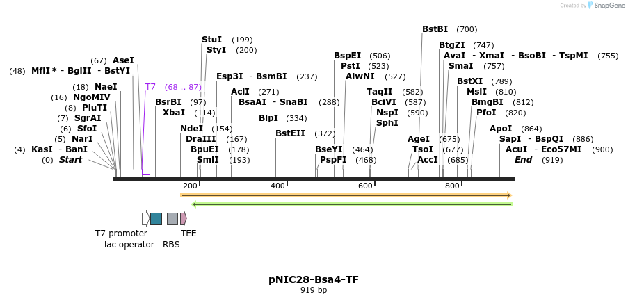 102805_map
