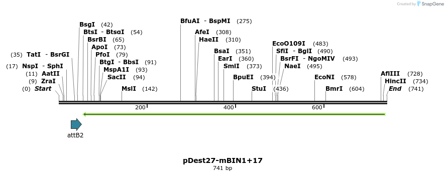 102806_map