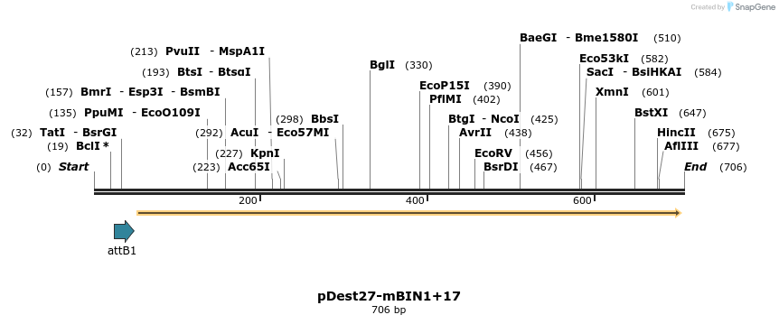 102807_map