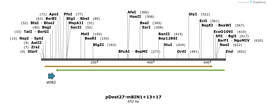102808_map