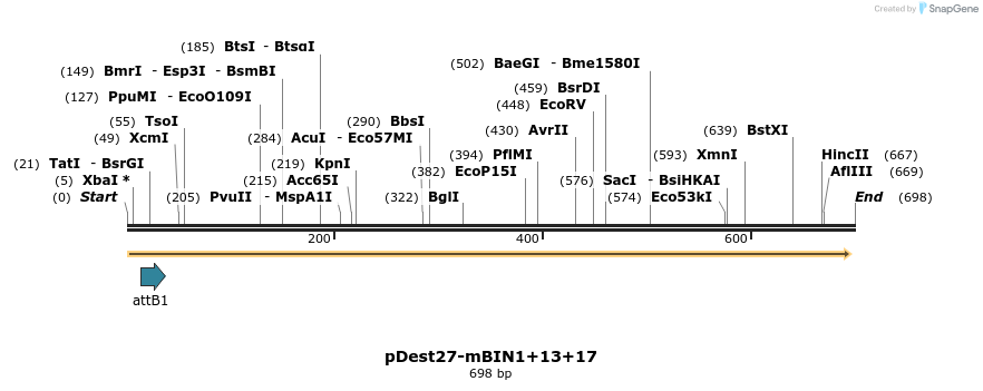 102809_map