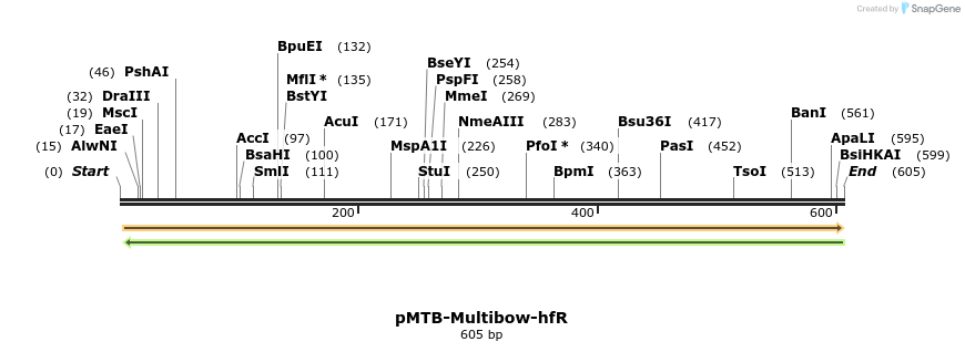 102817_map