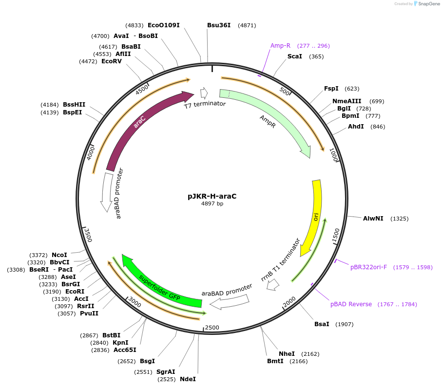 102835_map
