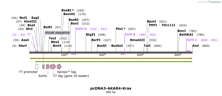 102859_map