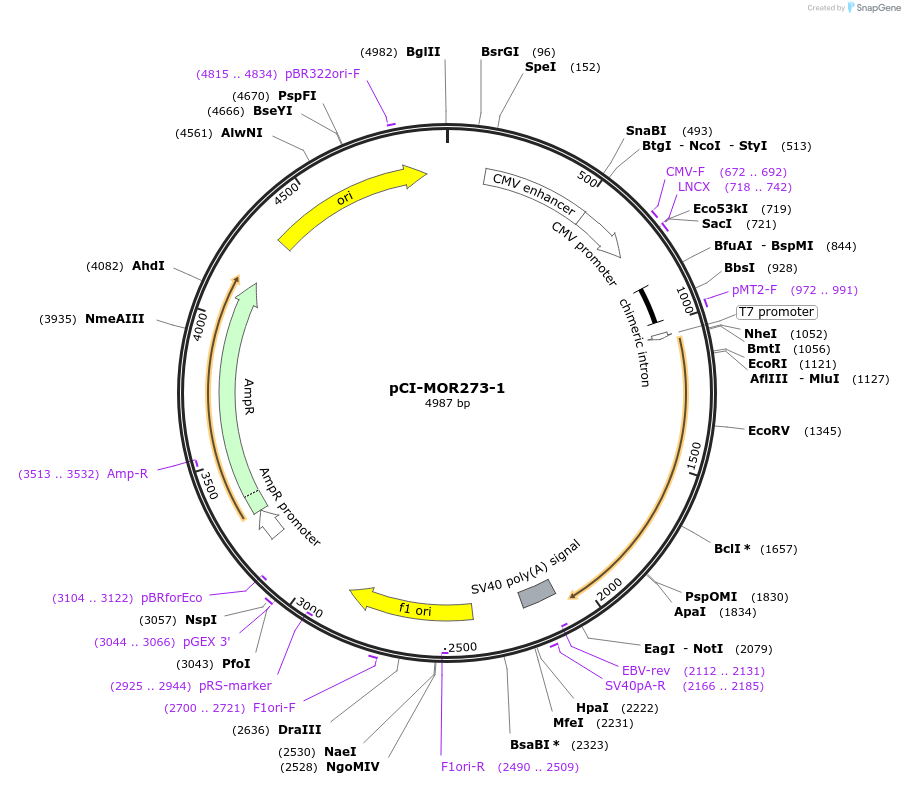 10287_map