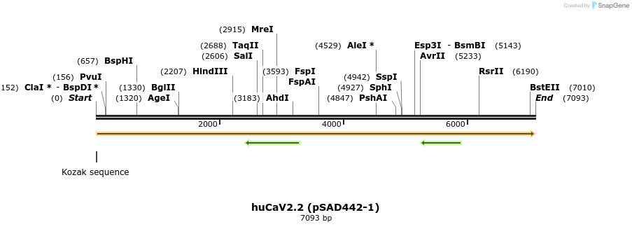 102872_map