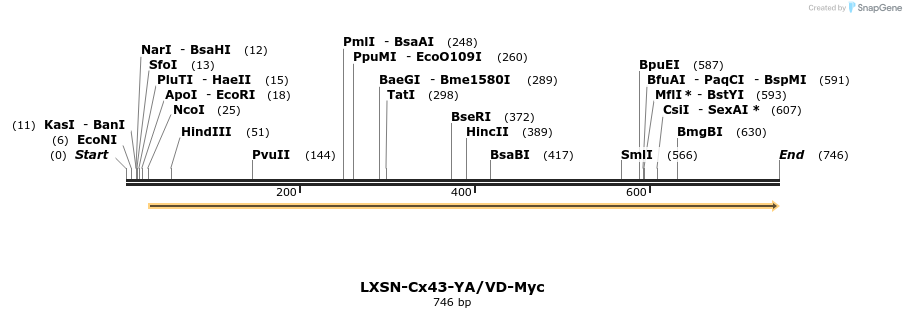 102886_map