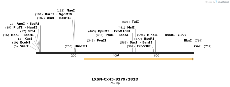 102895_map