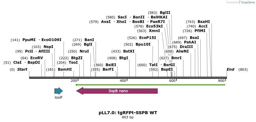 102901_map