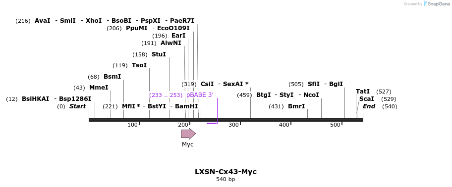 102904_map