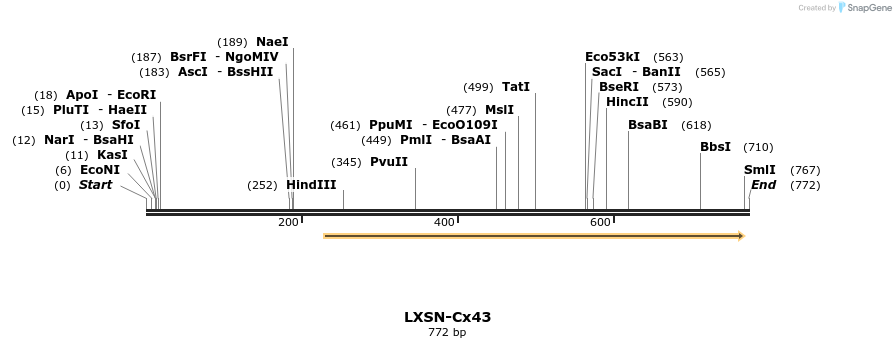 102905_map