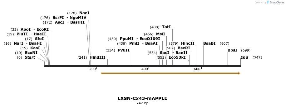 102906_map