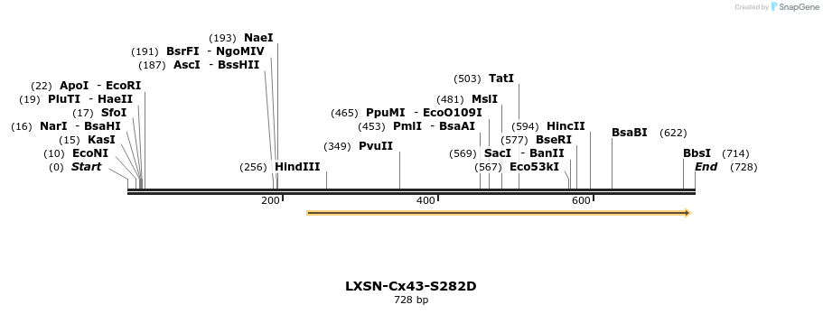 102910_map
