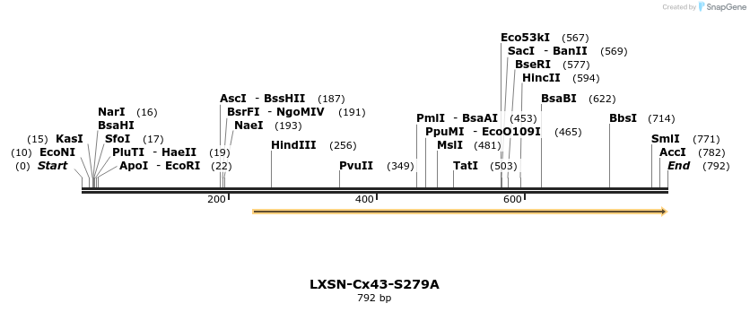 102913_map