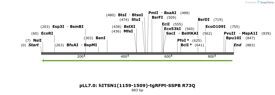 102930_map