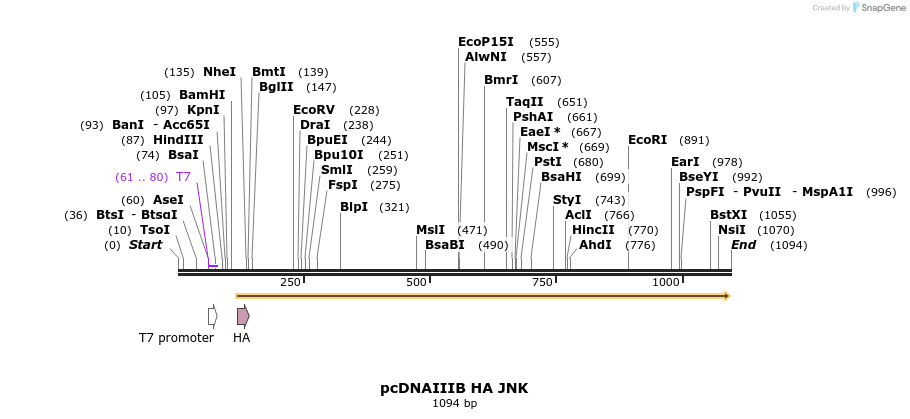 102949_map