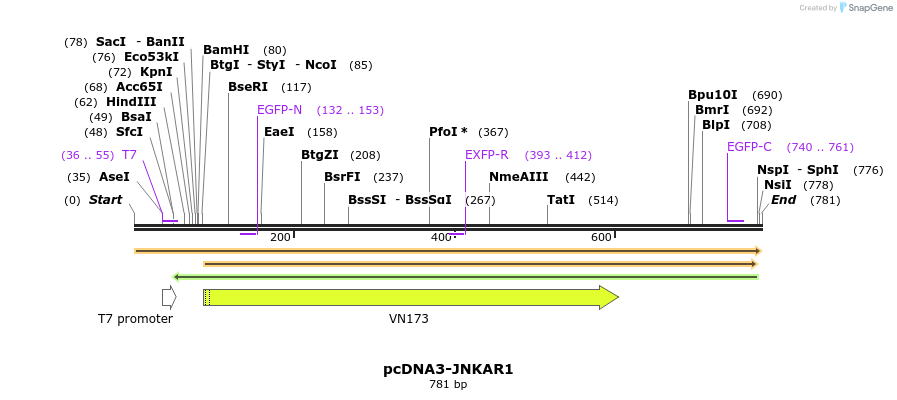 102954_map
